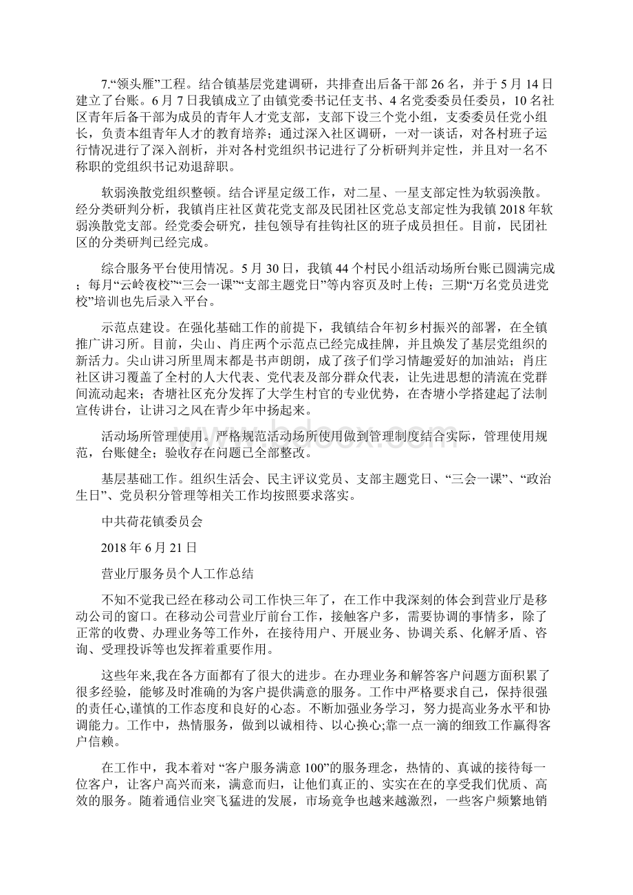 荷花镇上半年党建工作总结与营业厅服务员个人工作总结汇编.docx_第2页