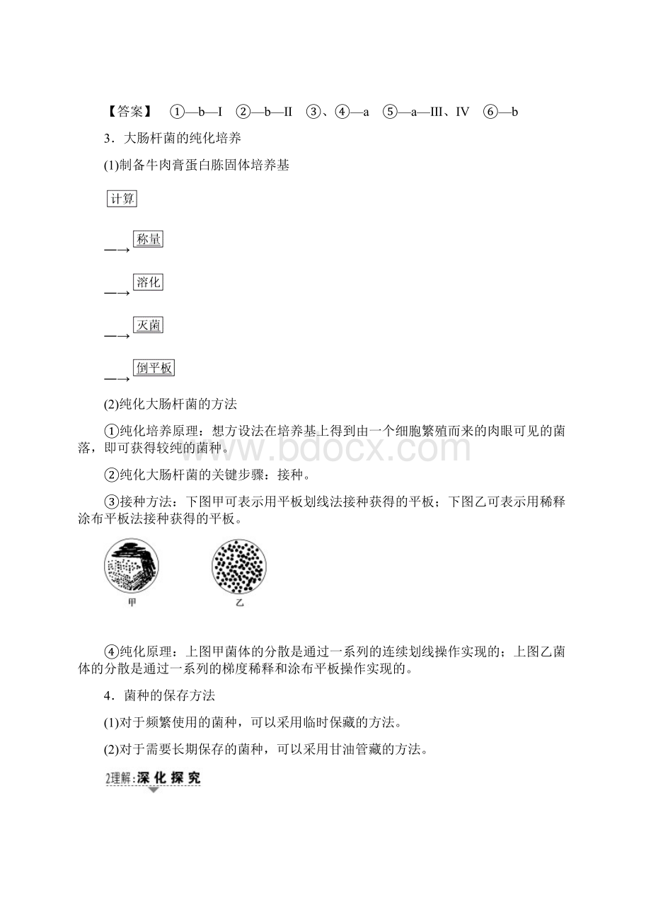 届人教版一轮复习选修1选修1第2讲微生物的培养与应用 教案.docx_第2页