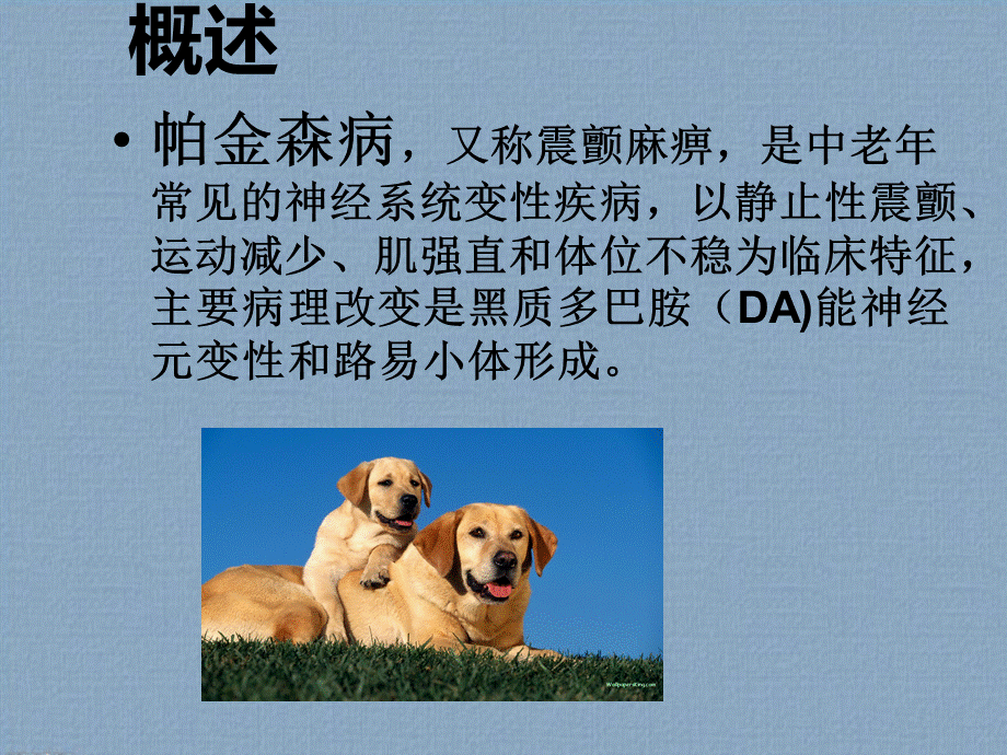 神经内科ppt课件.ppt_第3页