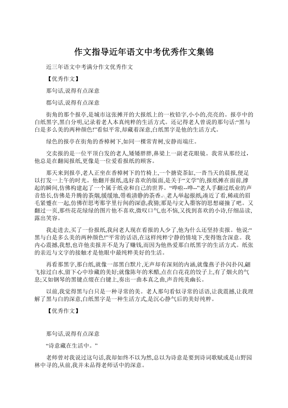 作文指导近年语文中考优秀作文集锦.docx_第1页