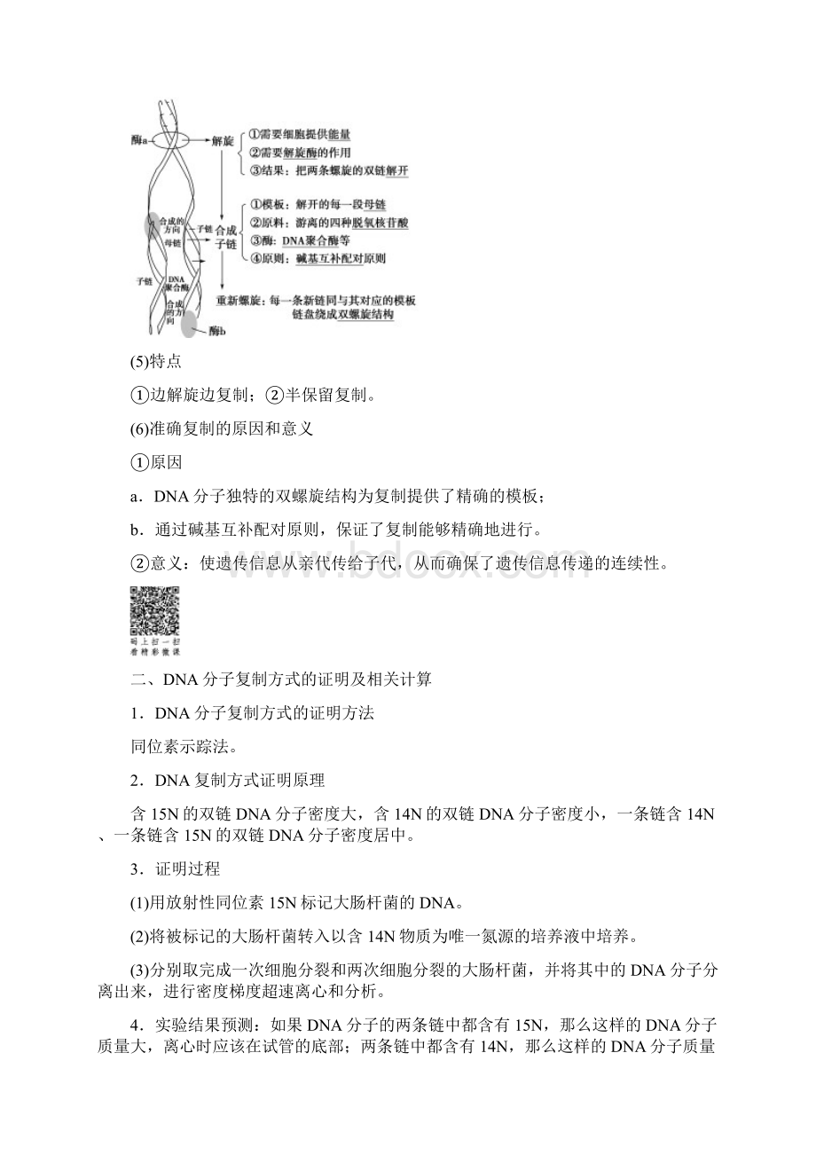 新人教版高中生物 第4章第2节 DNA的结构和DNA的复制 第2课时 DNA分子的复制学案 苏教版必修2重点.docx_第2页