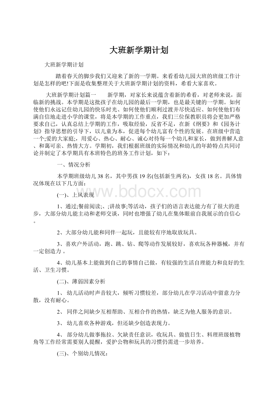 大班新学期计划.docx