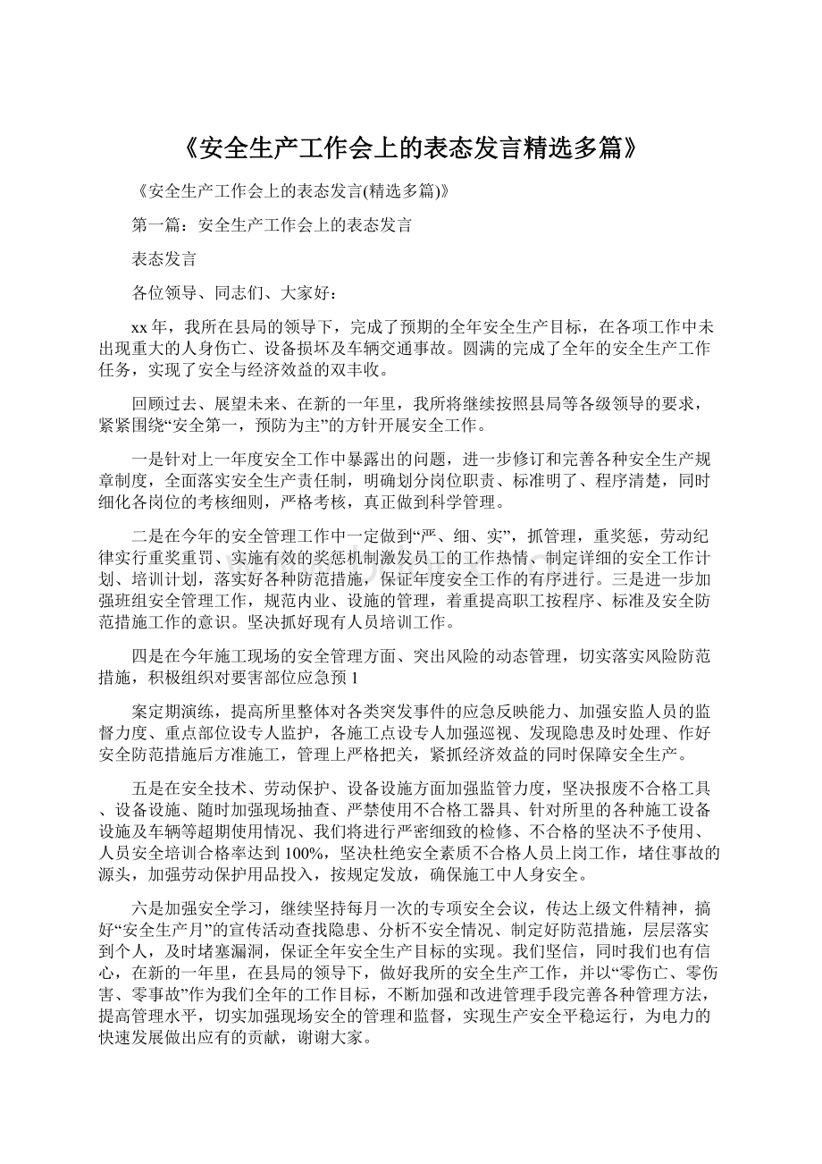 《安全生产工作会上的表态发言精选多篇》.docx