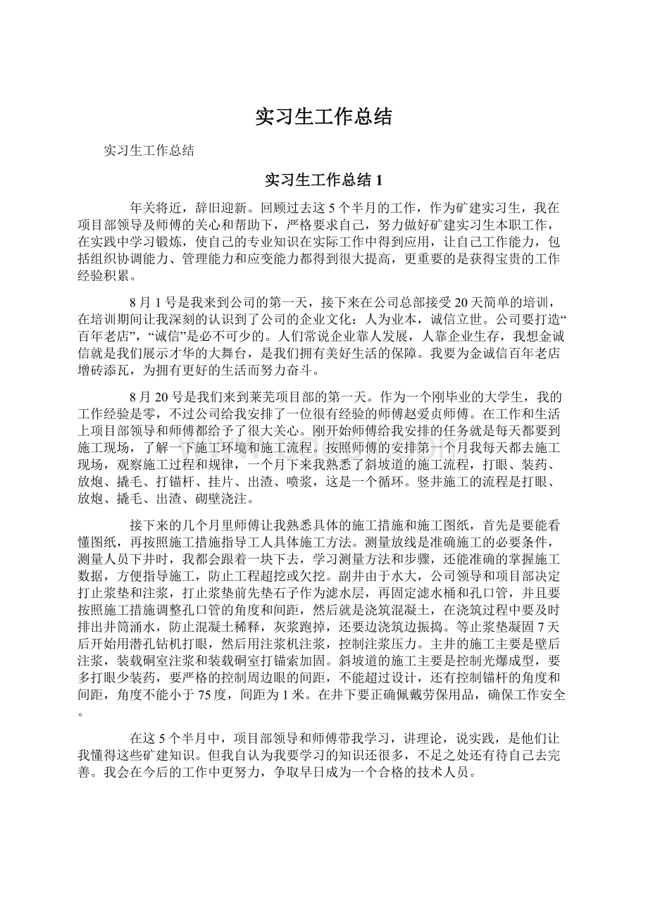 实习生工作总结.docx_第1页