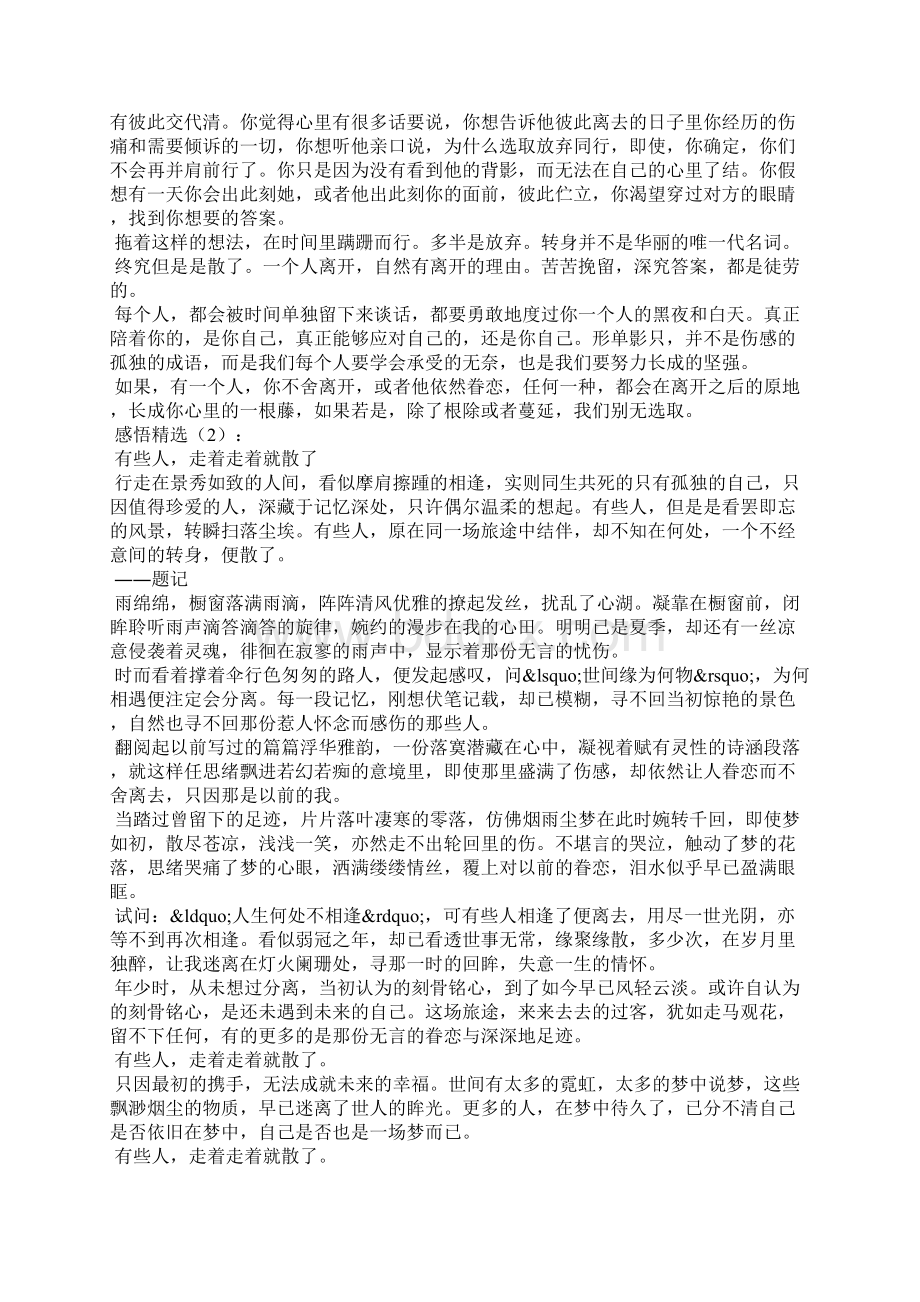 走着走着就散了.docx_第2页