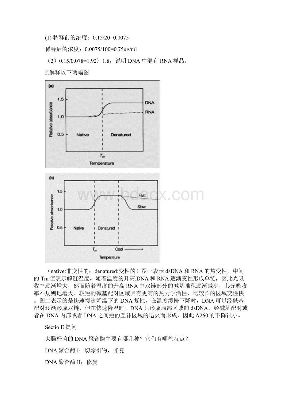 分子生物学问题汇总.docx_第2页