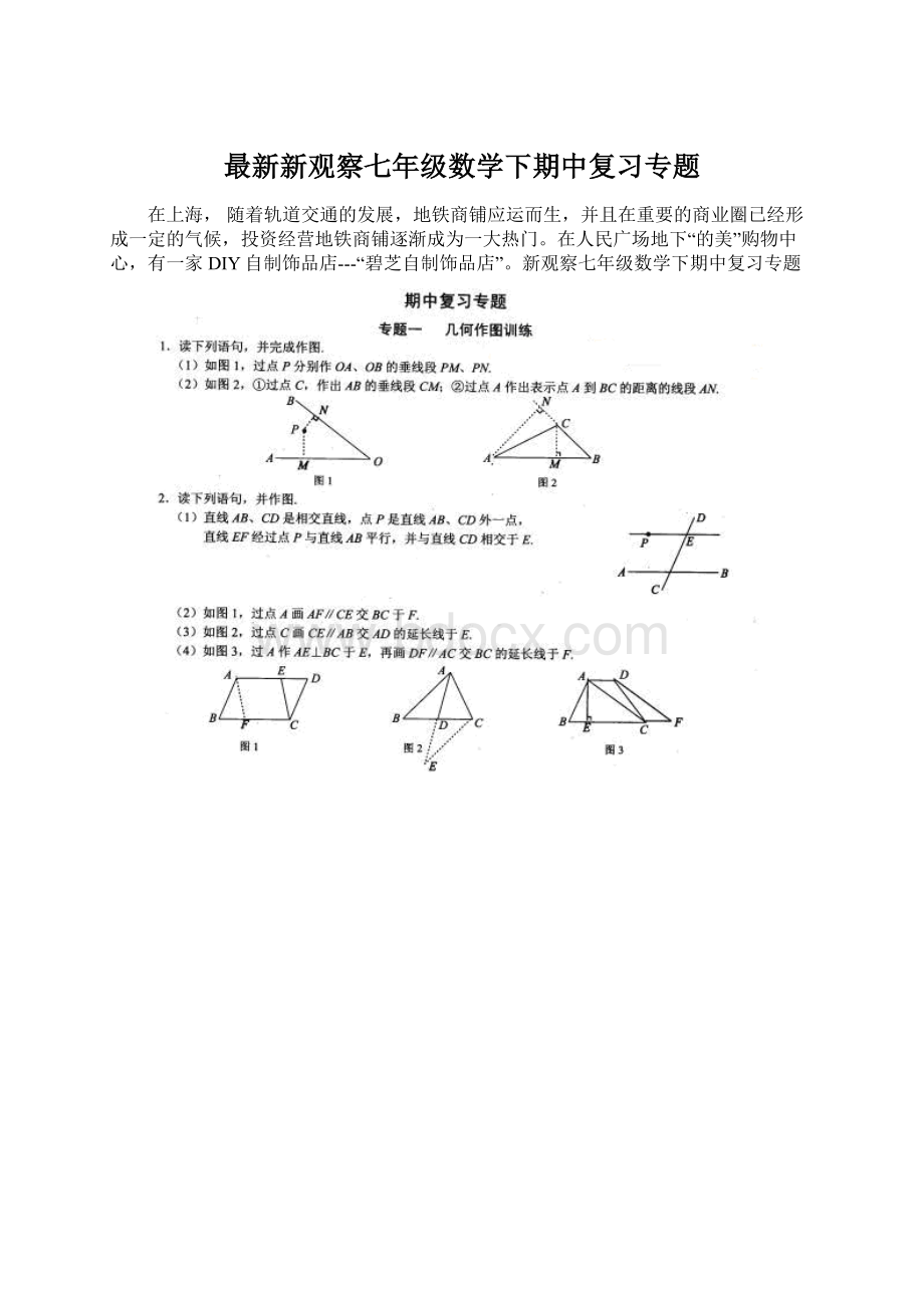 最新新观察七年级数学下期中复习专题.docx