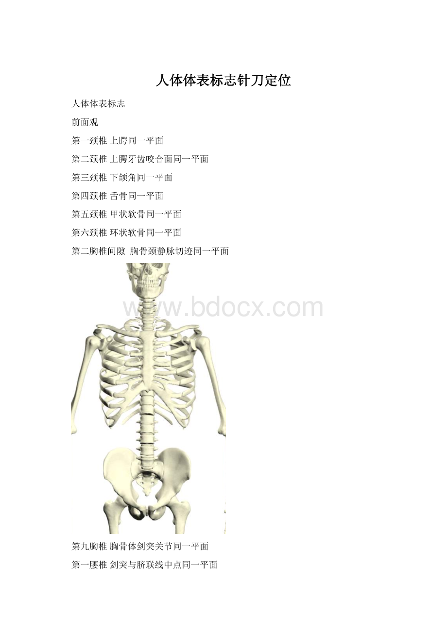 人体体表标志针刀定位.docx_第1页