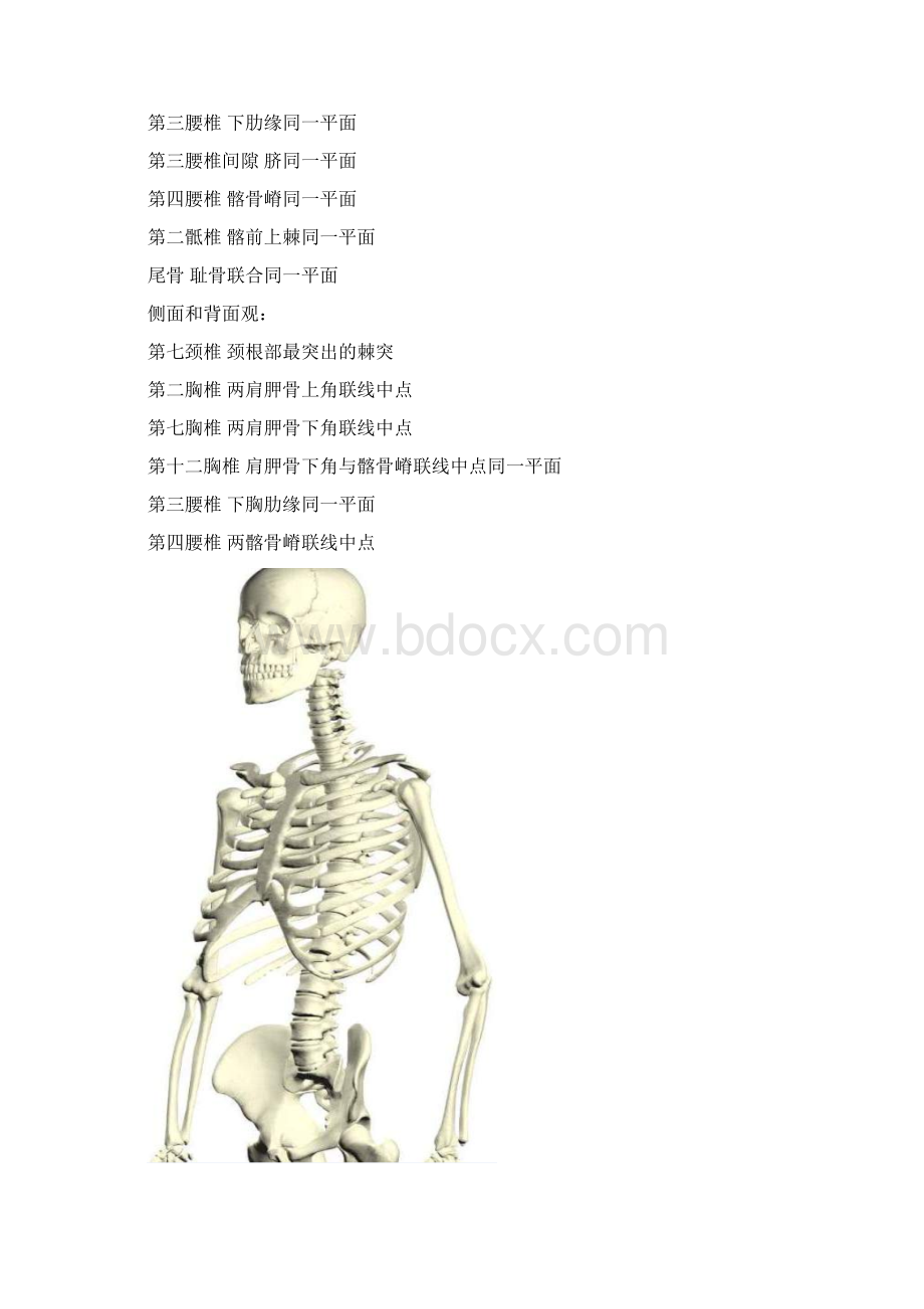 人体体表标志针刀定位.docx_第2页