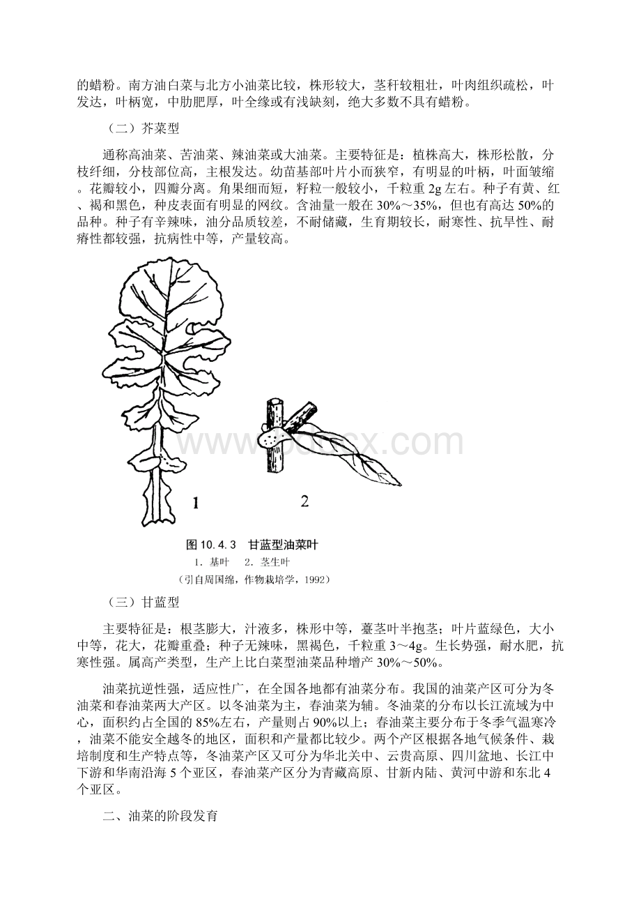 油菜栽培技术课件资料.docx_第3页