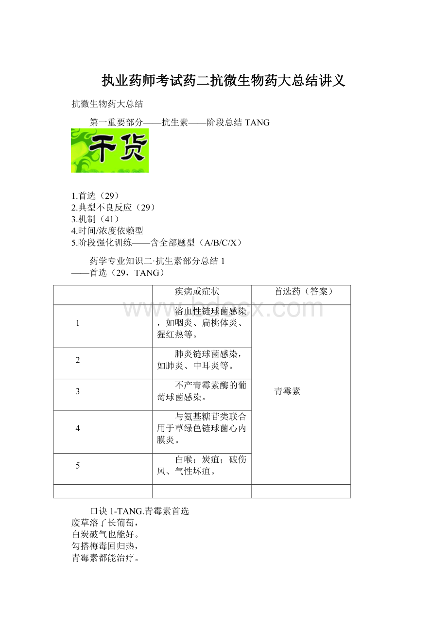 执业药师考试药二抗微生物药大总结讲义.docx