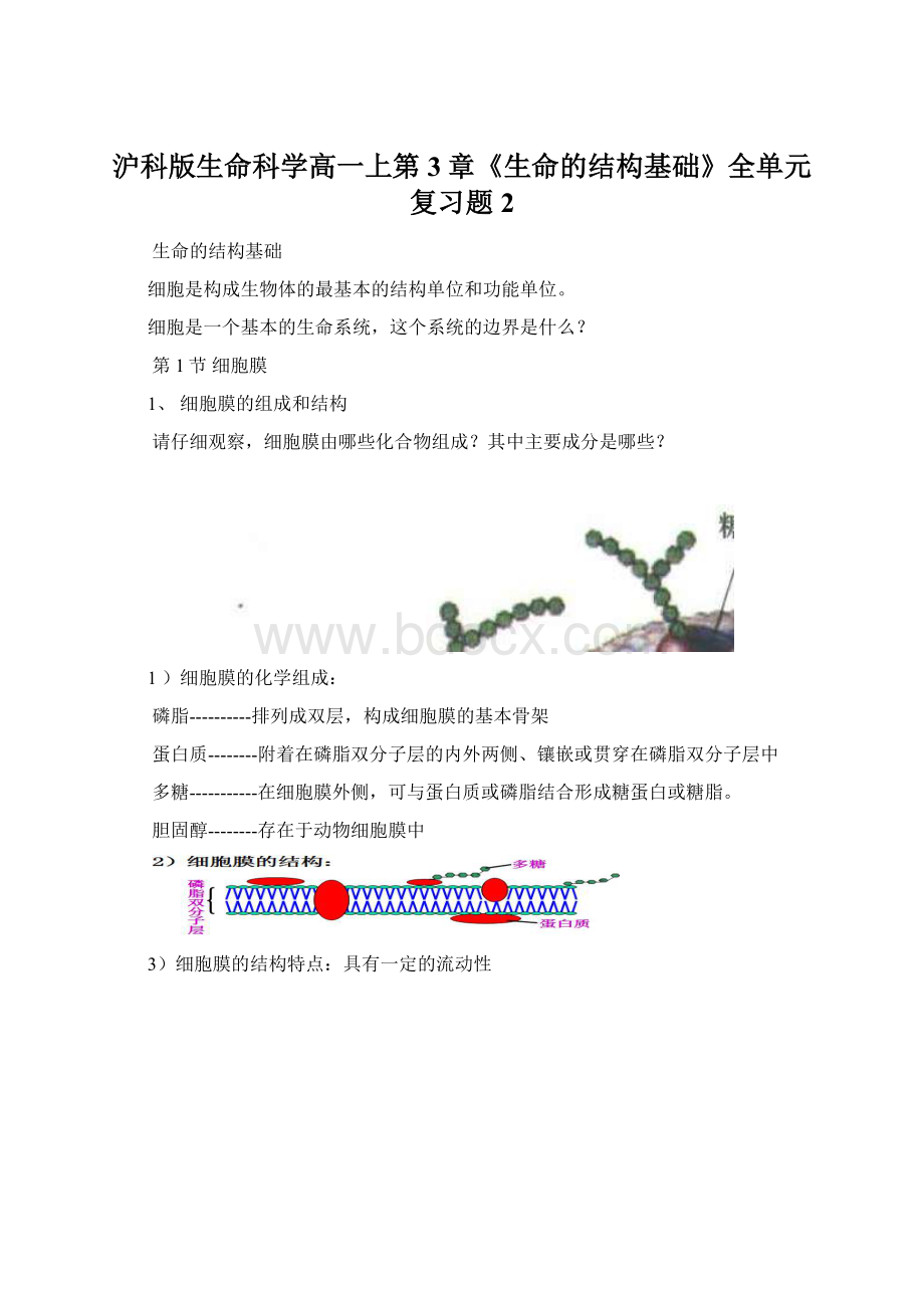 沪科版生命科学高一上第3章《生命的结构基础》全单元复习题2.docx