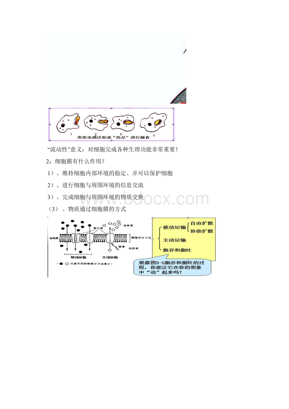 沪科版生命科学高一上第3章《生命的结构基础》全单元复习题2.docx_第2页