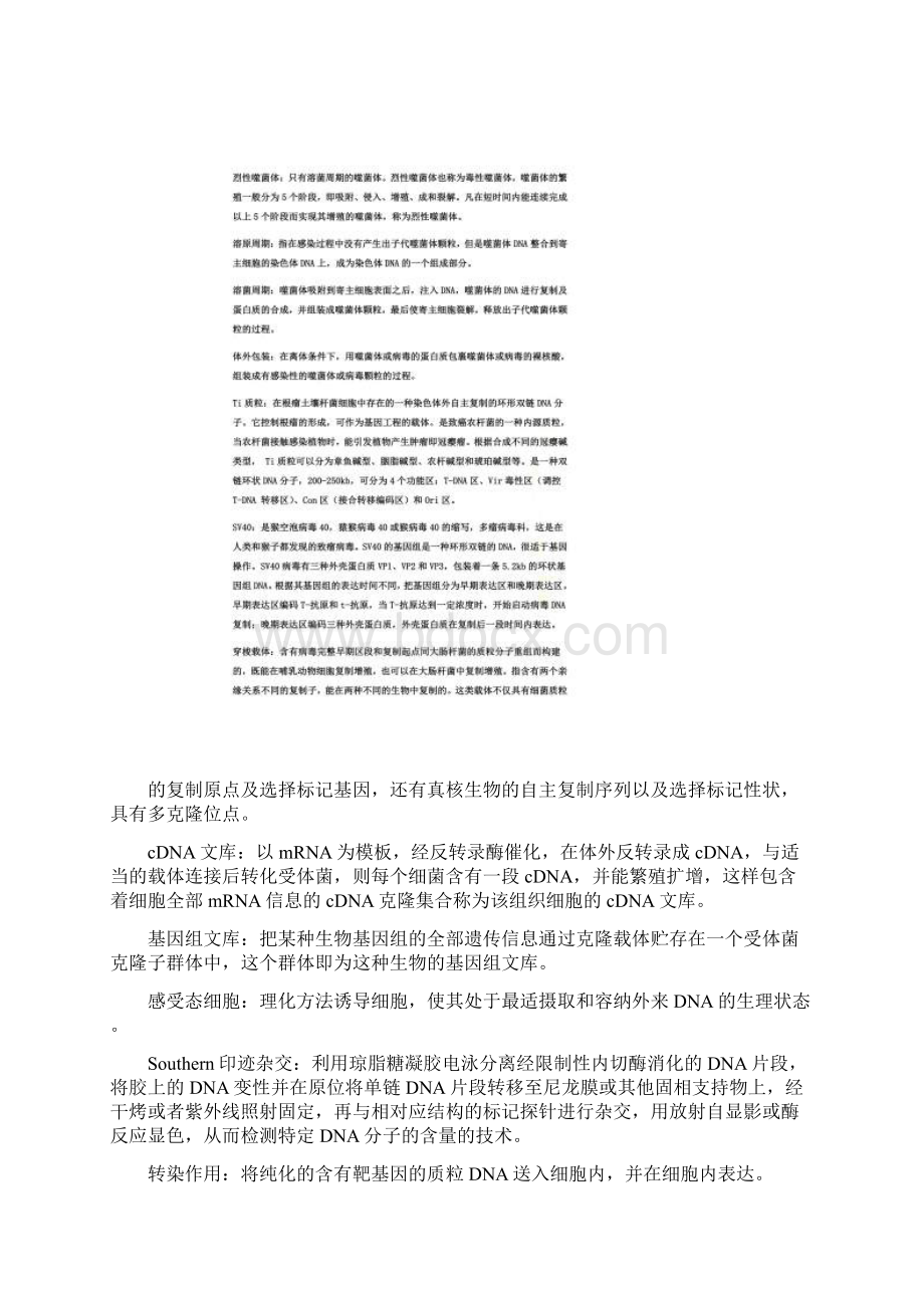 《基因工程技术》课程复习题解答版.docx_第3页