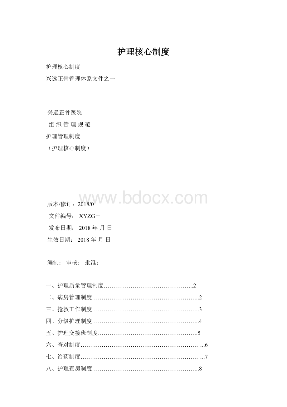 护理核心制度.docx