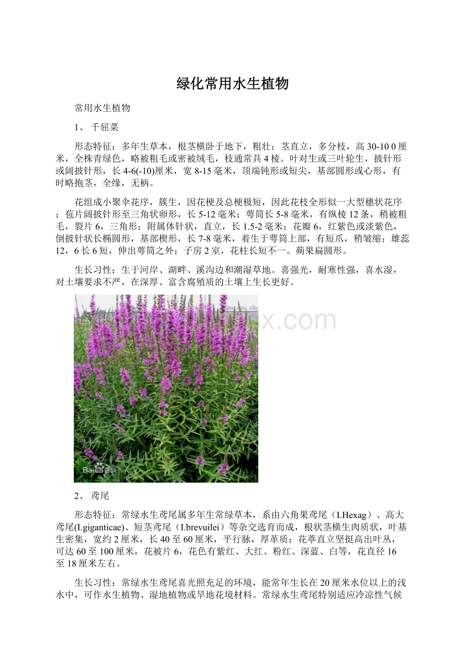 绿化常用水生植物.docx_第1页