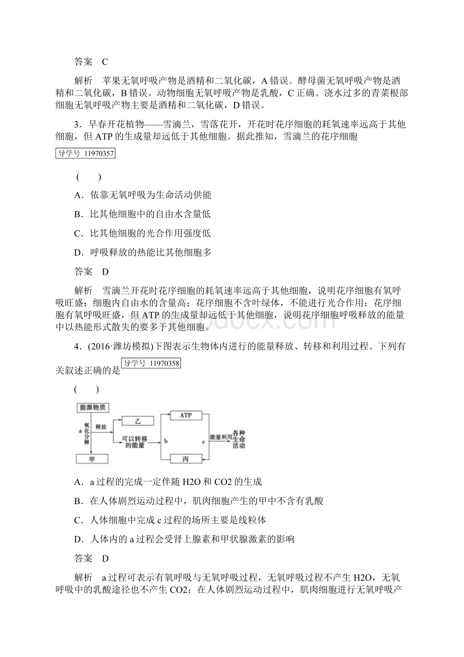 走向高考高考生物一轮复习 第3单元 细胞的能量供应和利用 第2讲 细胞呼吸课时作业 新人教版必修1.docx_第2页