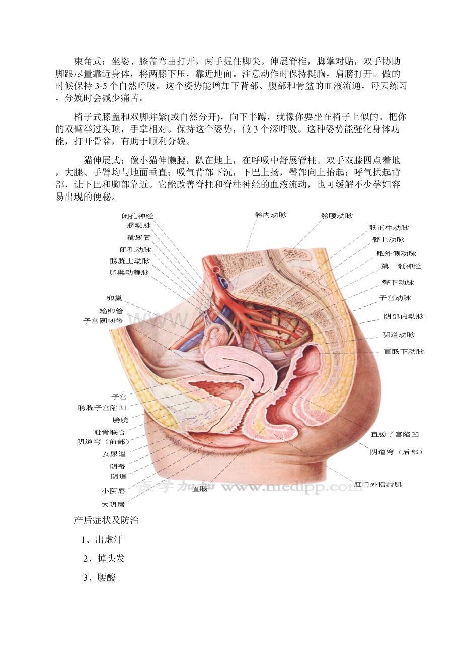 中国高级私人教练课程产后恢复及营养修订版doc.docx_第3页