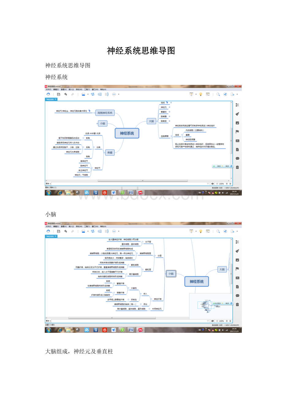 神经系统思维导图.docx_第1页