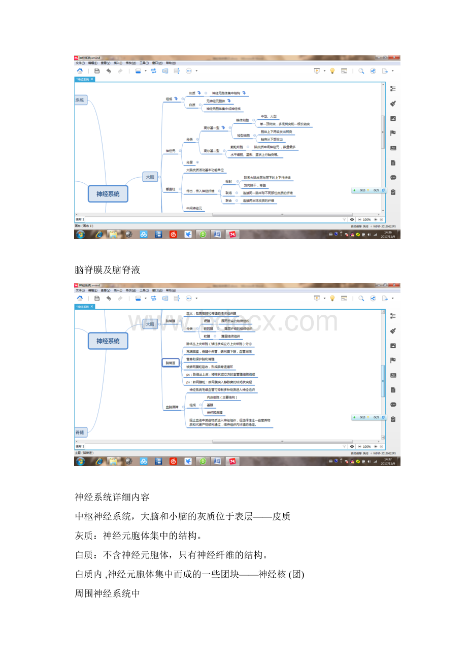 神经系统思维导图.docx_第2页