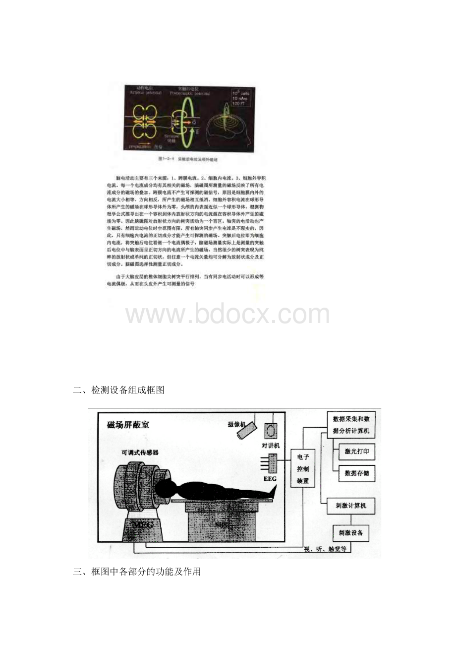 脑磁图MEG.docx_第3页