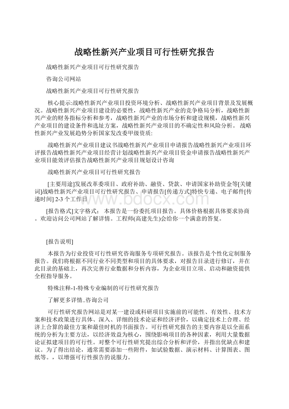 战略性新兴产业项目可行性研究报告.docx_第1页