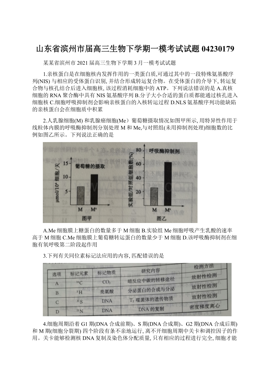 山东省滨州市届高三生物下学期一模考试试题04230179.docx