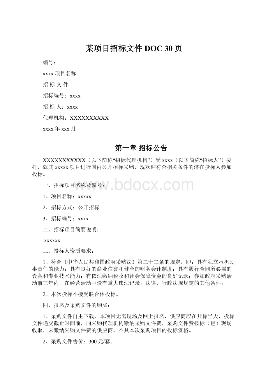 某项目招标文件DOC 30页.docx