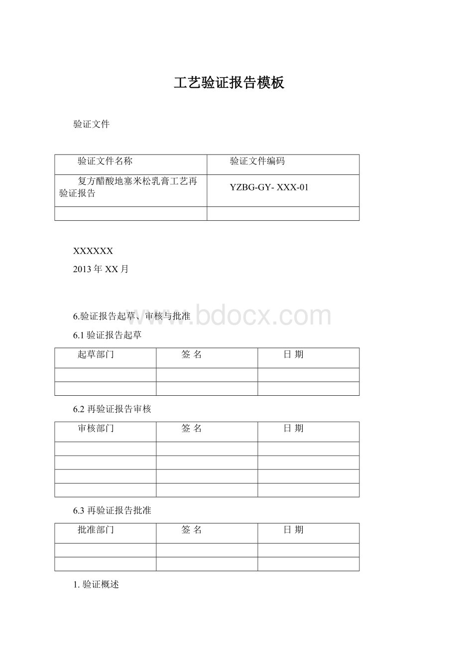 工艺验证报告模板.docx_第1页