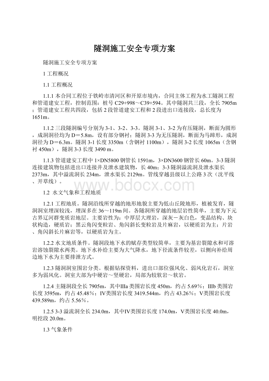 隧洞施工安全专项方案.docx