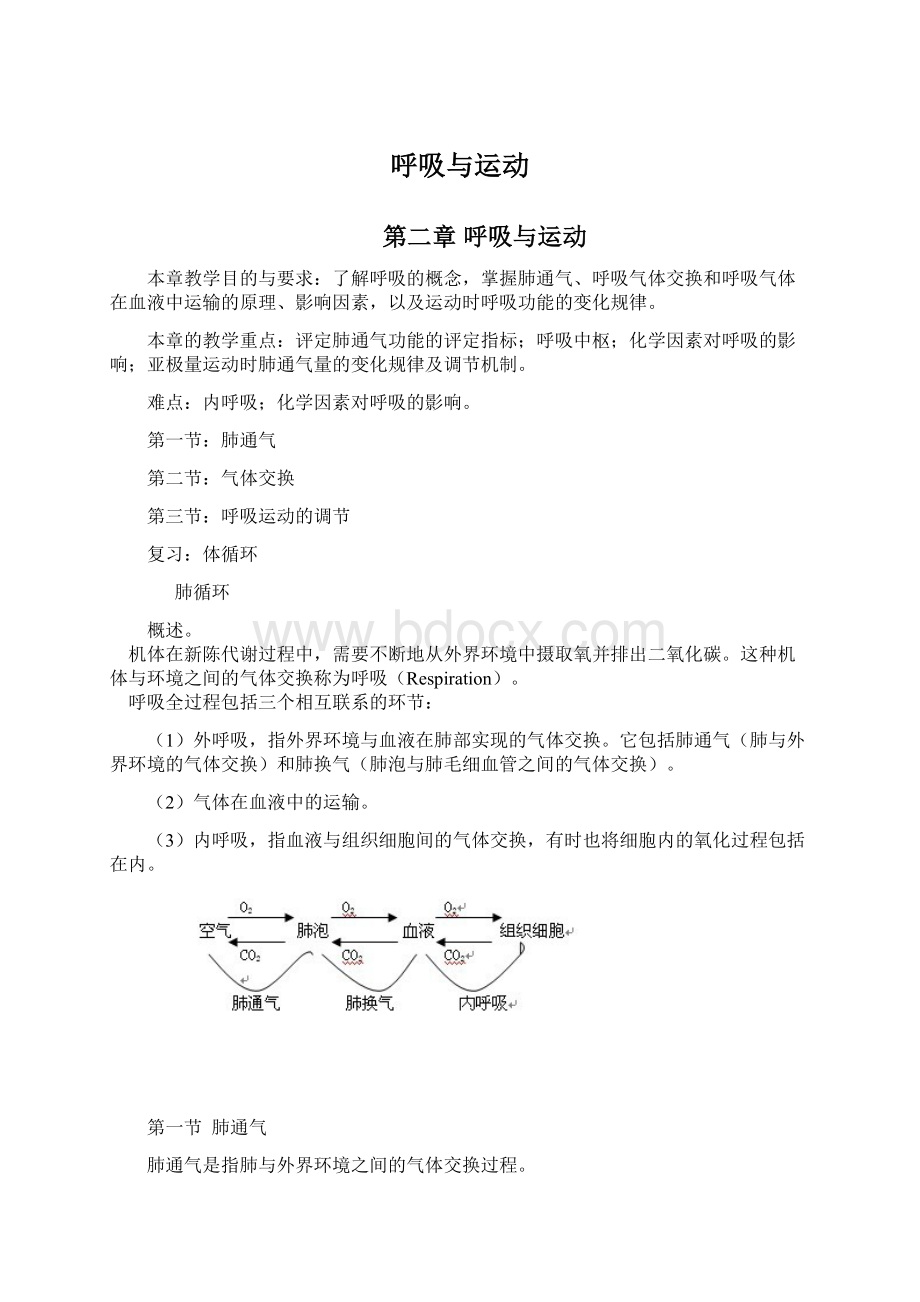 呼吸与运动.docx_第1页