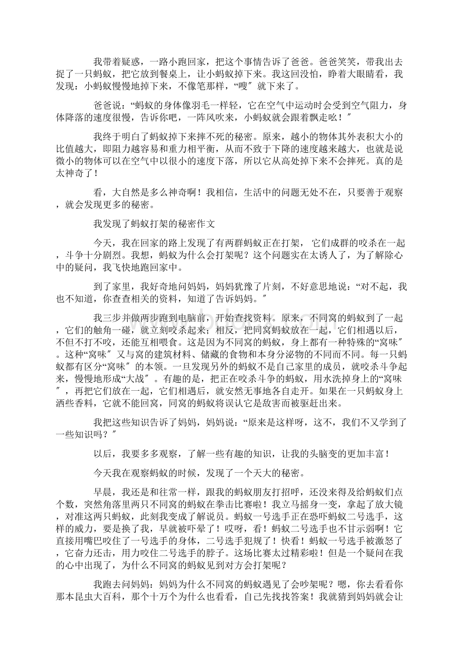 蚂蚁的秘密作文400字精选.docx_第3页