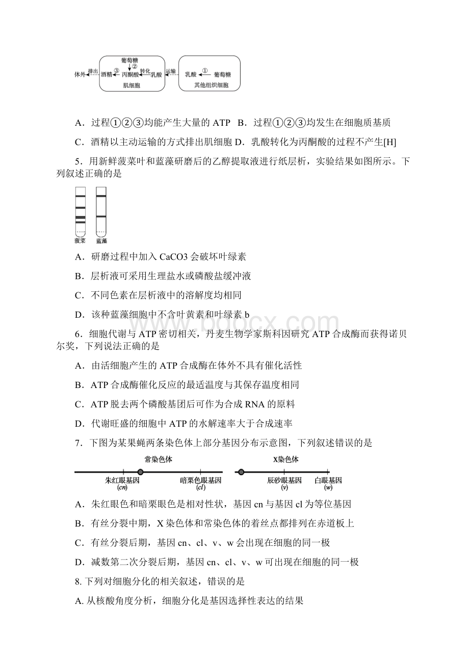 届北京市高三生物上学期期中质量检测试题4doc.docx_第2页