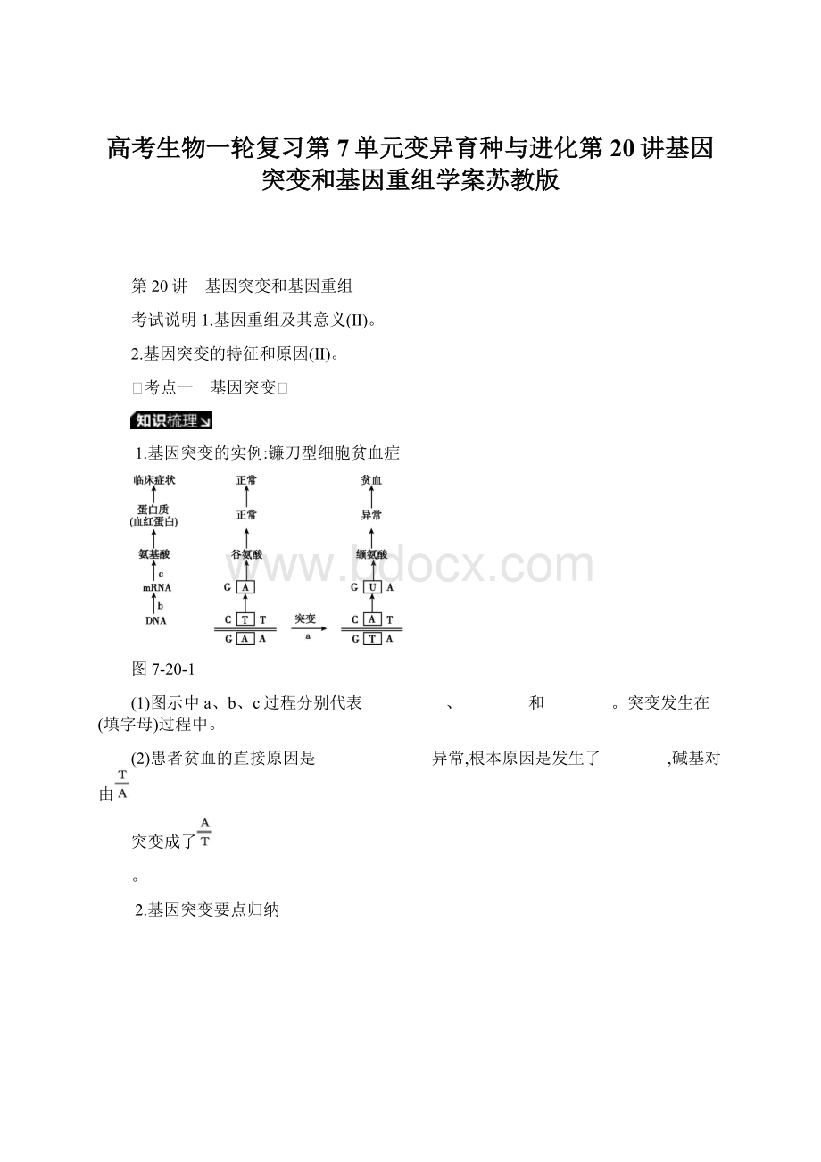 高考生物一轮复习第7单元变异育种与进化第20讲基因突变和基因重组学案苏教版.docx