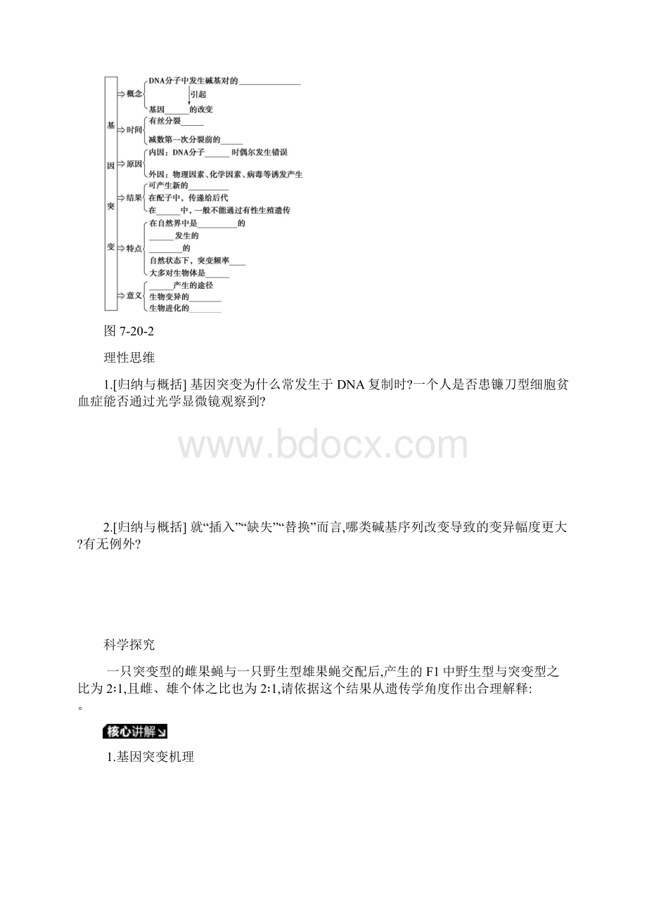 高考生物一轮复习第7单元变异育种与进化第20讲基因突变和基因重组学案苏教版.docx_第2页