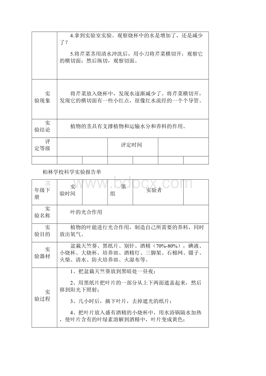 教科版三年级科学下册实验报告单新.docx_第3页