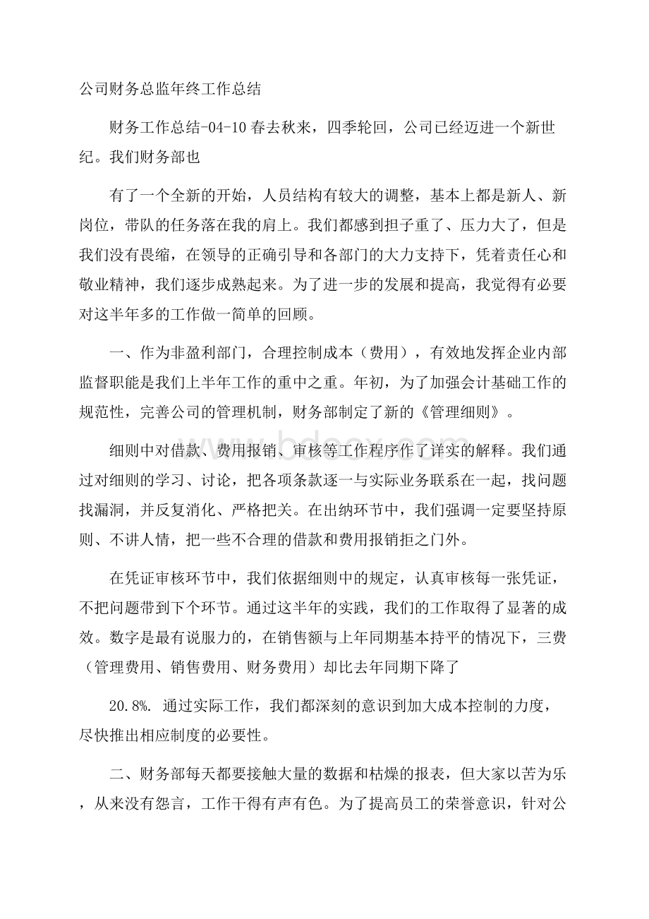 公司财务总监年终工作总结.docx