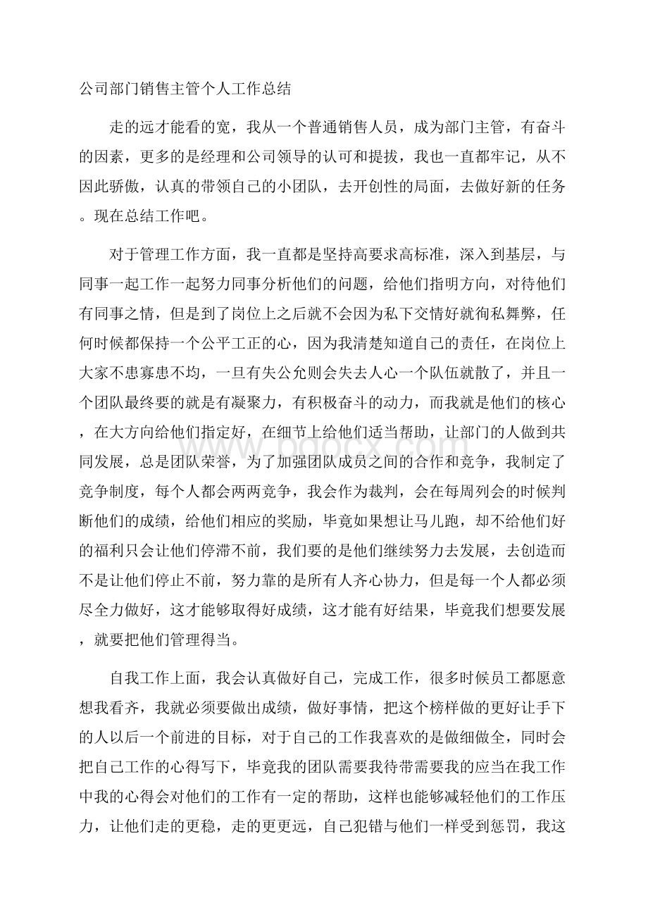 公司部门销售主管个人工作总结.docx