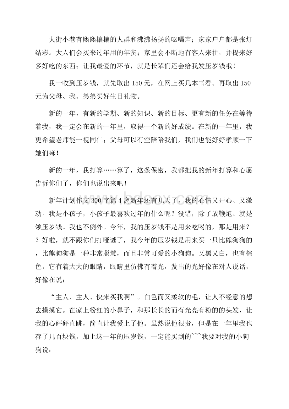 精品新年计划作文300字合集五篇.docx_第3页