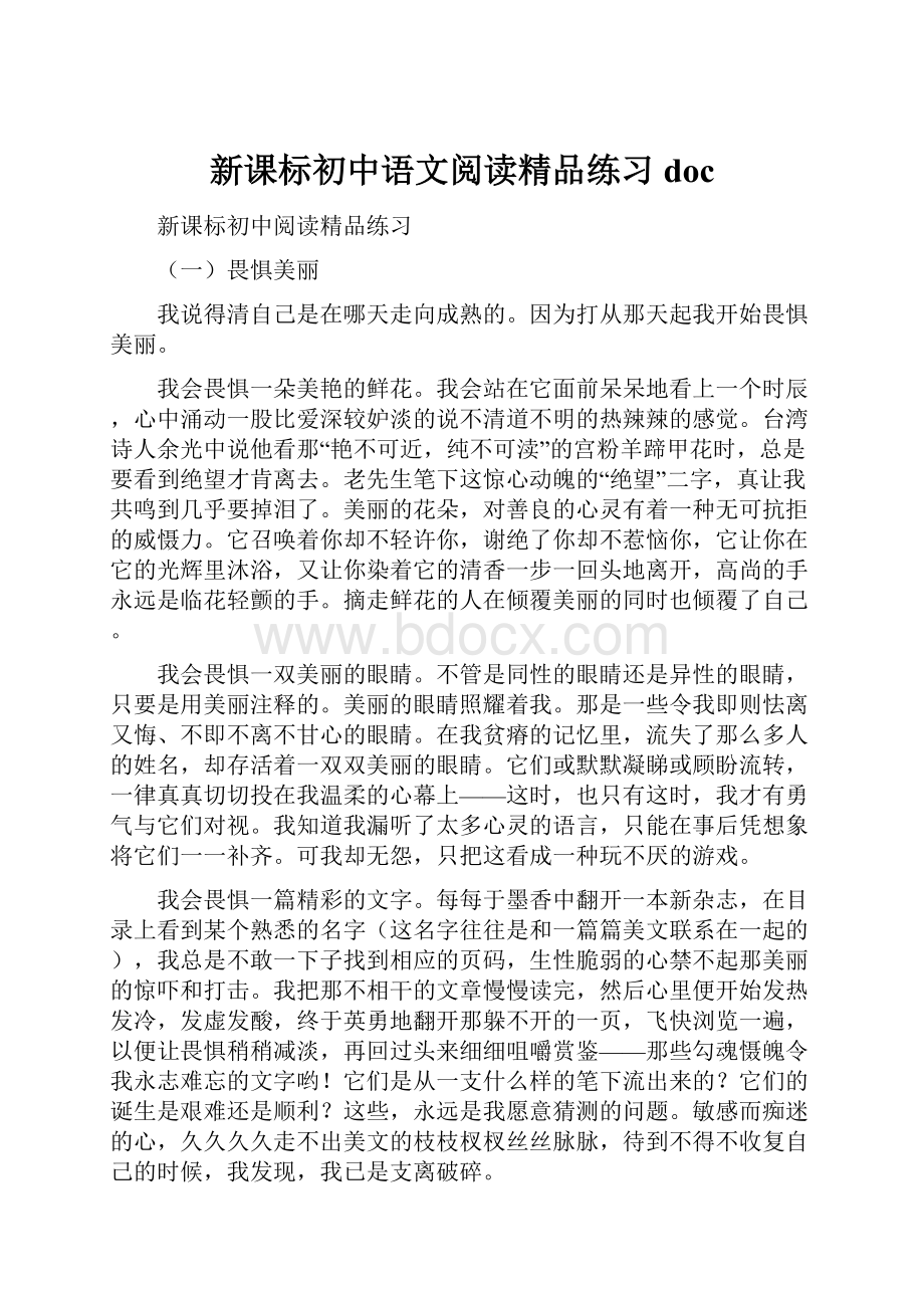 新课标初中语文阅读精品练习doc.docx