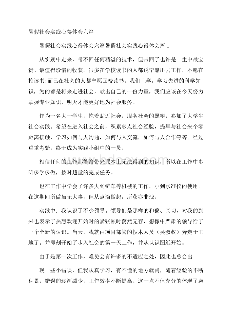 暑假社会实践心得体会六篇.docx