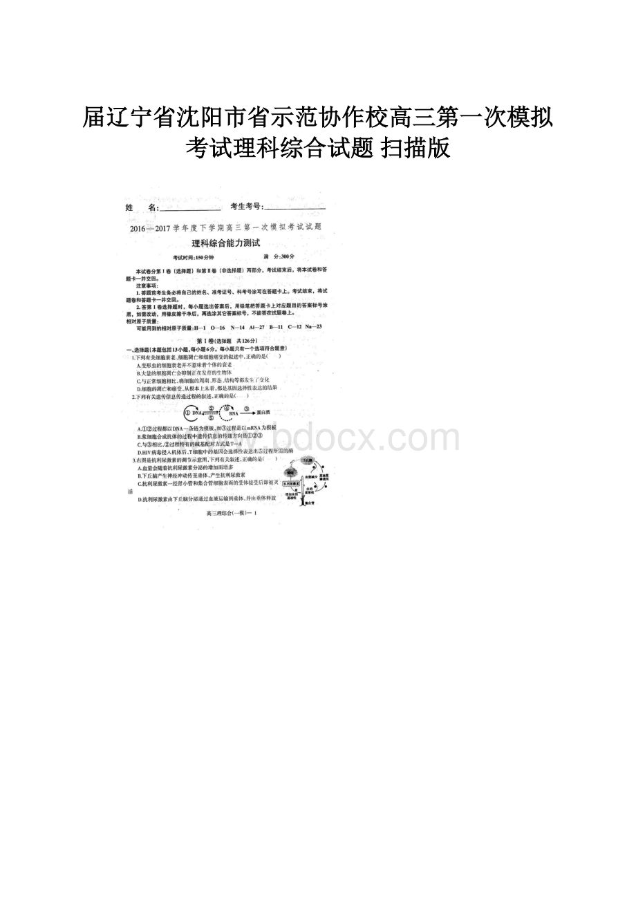 届辽宁省沈阳市省示范协作校高三第一次模拟考试理科综合试题扫描版.docx