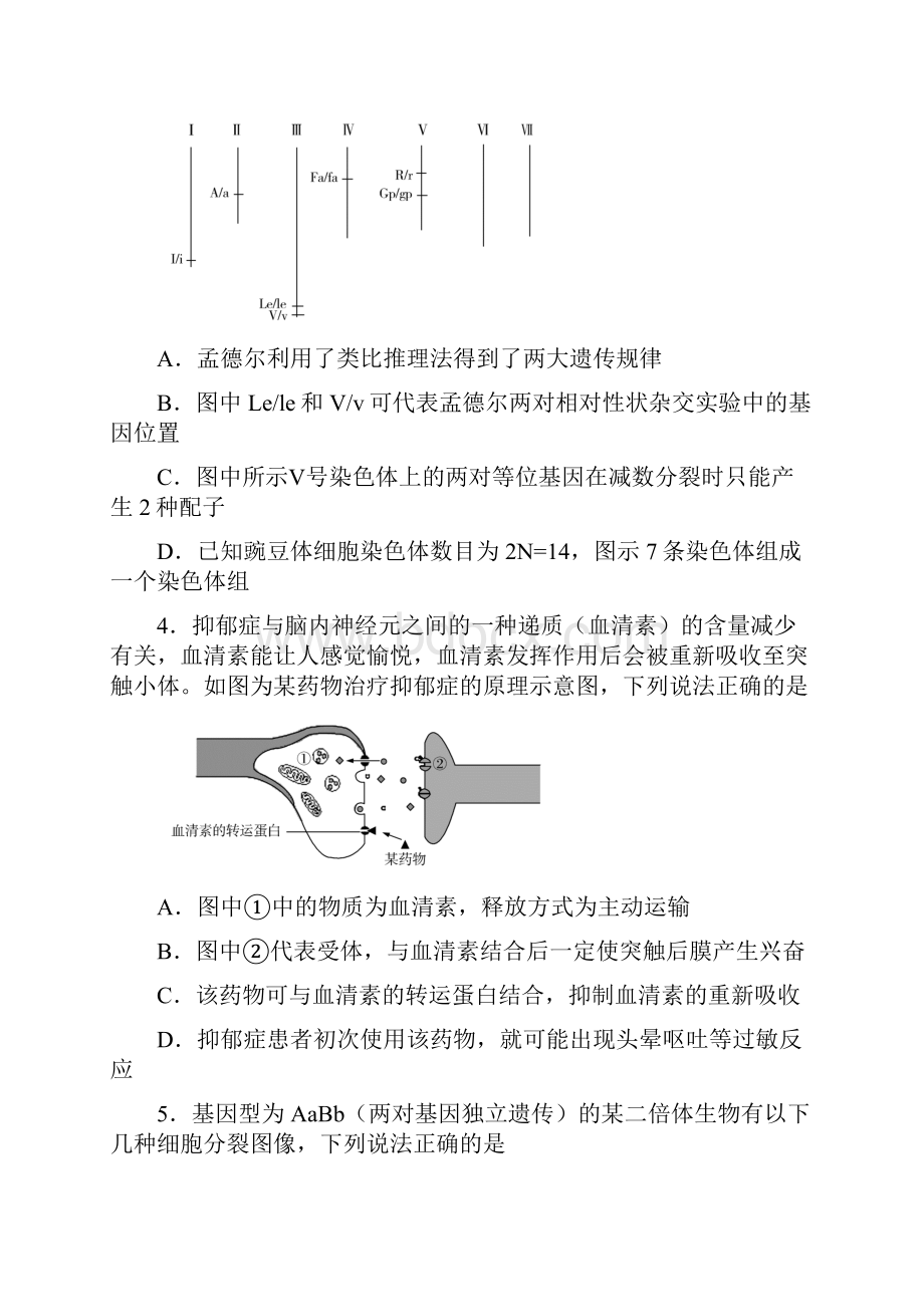 全国名校高三大联考 生物试题新课标I卷全解全析.docx_第2页