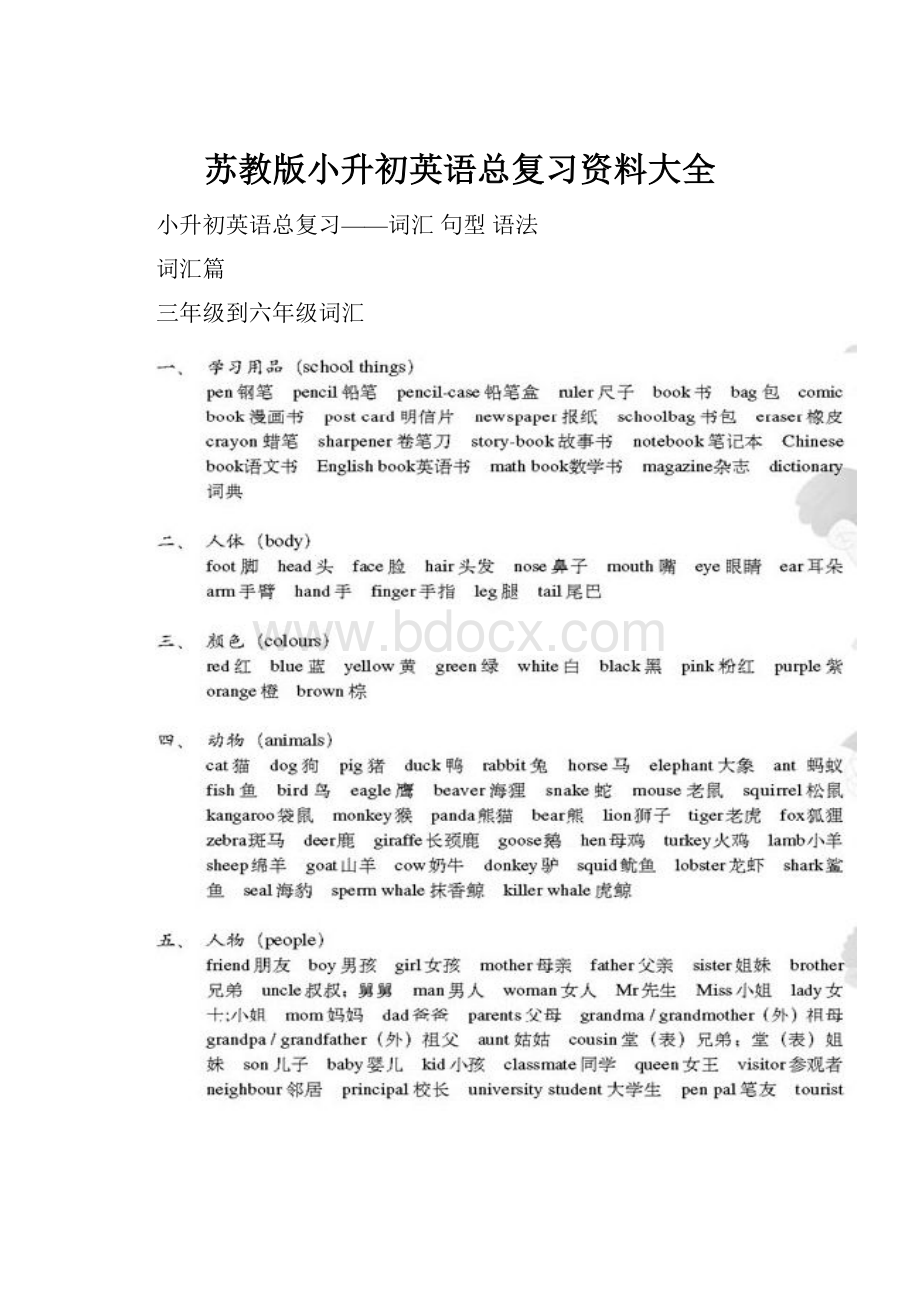 苏教版小升初英语总复习资料大全.docx_第1页