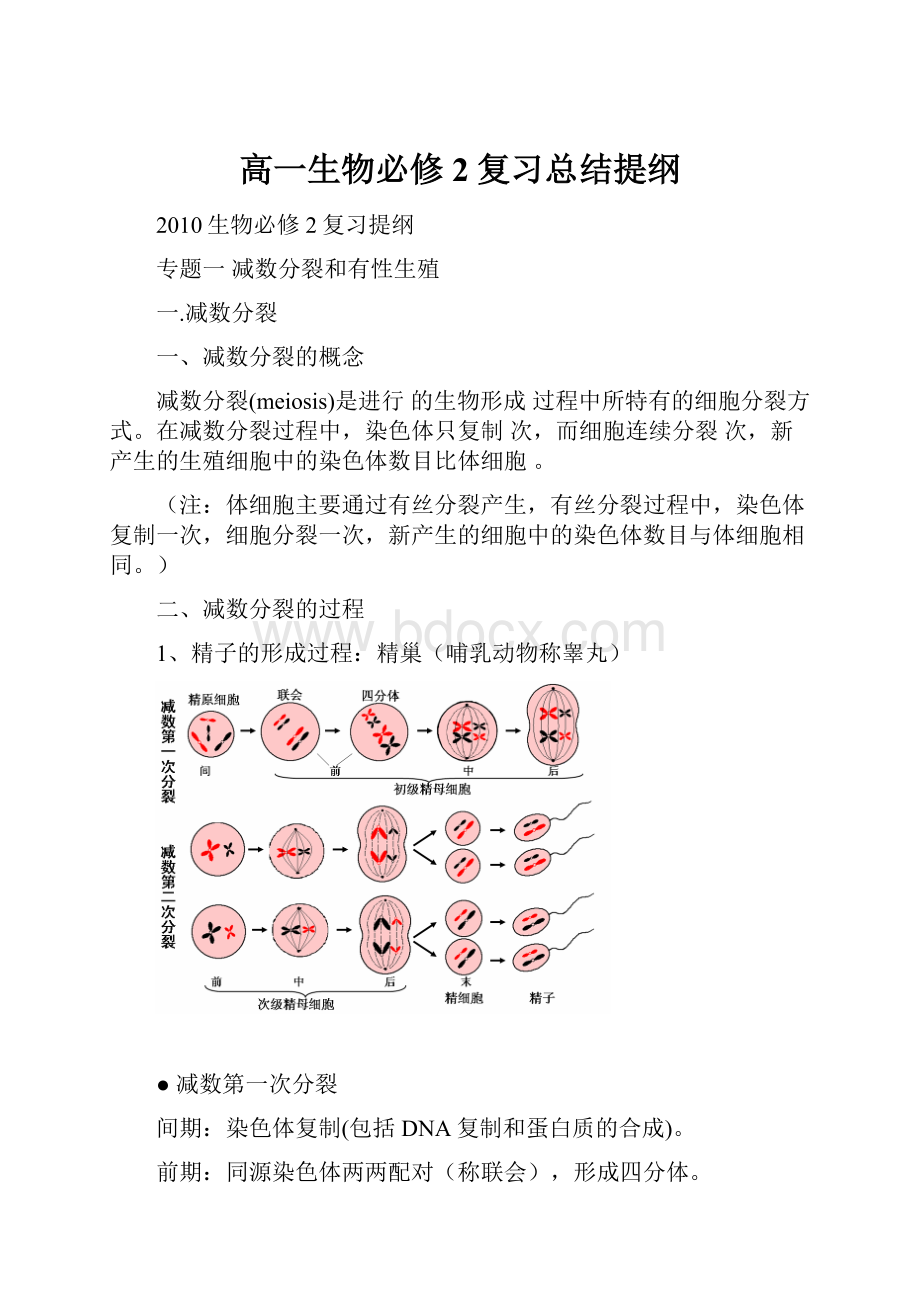 高一生物必修2复习总结提纲.docx_第1页