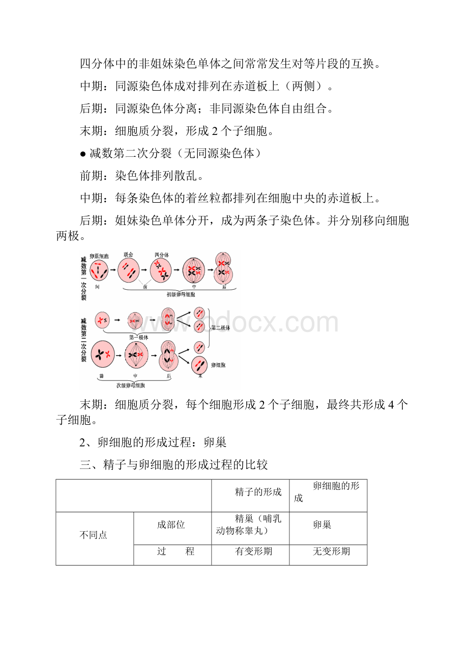 高一生物必修2复习总结提纲.docx_第2页