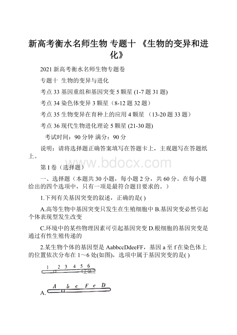 新高考衡水名师生物 专题十 《生物的变异和进化》.docx_第1页