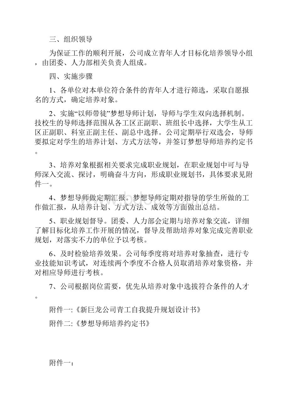 青年人才培养方案.docx_第2页