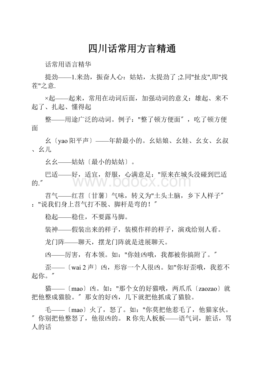 四川话常用方言精通.docx