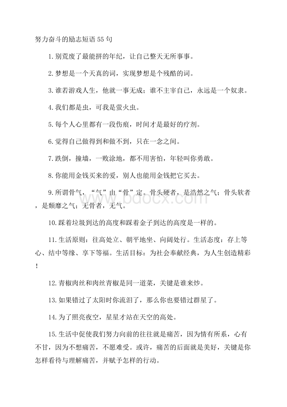 努力奋斗的励志短语55句.docx